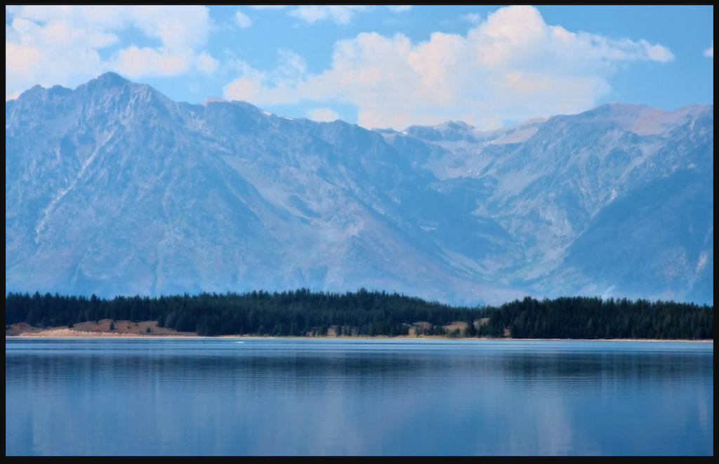 HUMAN FEAR OF THE BEAR